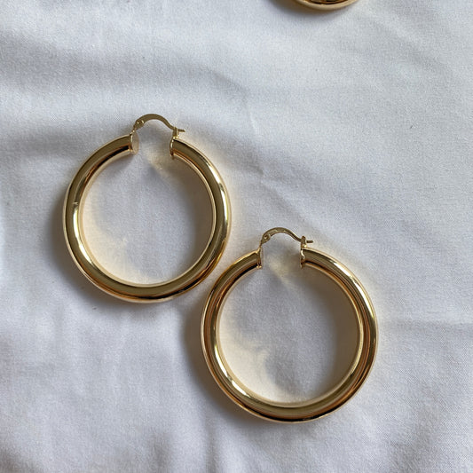Lily Hoops